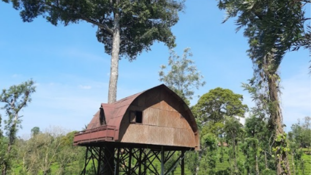 Priyadarshini Tea Environs