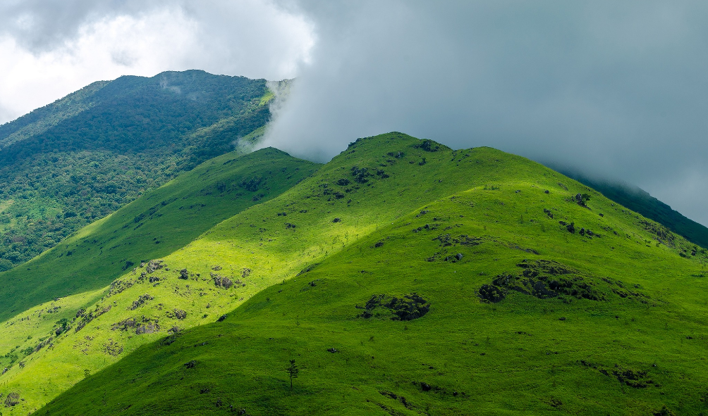 Banasura Hill Trekking